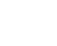 Absolute logo